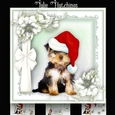 Yorkie Christmas Card Kit
