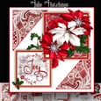 Poinsettia Joy
