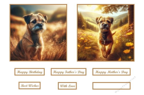 Beautiful Border Terrier Toppers.