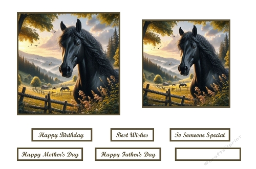 Black Horse Toppers.
