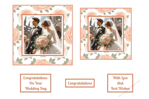 Bride and Groom with Peach and White bouquet Toppers.