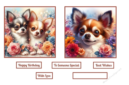 Beautiful Chihuahuas Toppers.