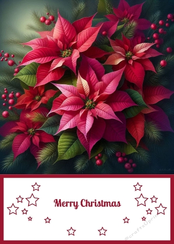  Christmas Poinsettias 5 X 7 Card Front.
