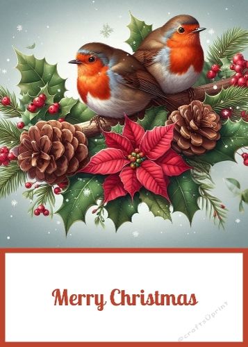 Christmas Robins 5 X 7 Card Front.