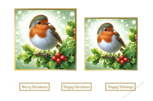 Cute Christmas Robin Toppers