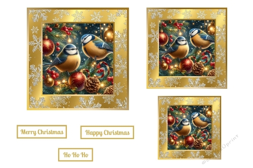 Beautiful Christmas Birds Toppers. 