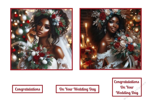 Beautiful Christmas Bride Toppers.