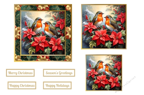 Christmas Robins Toppers.