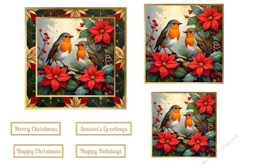 Christmas Robins Toppers.