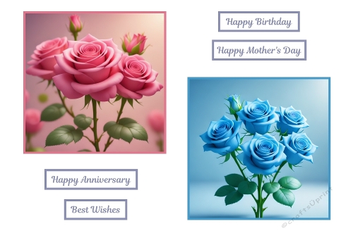 2 X 7 X 7 Beautiful Roses Theme.