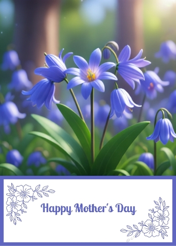 5 X 7 Mothers Day Bluebells Theme. 