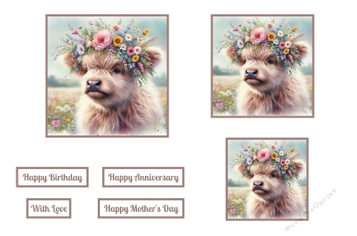 Highland Cow With Flowers Toppers.