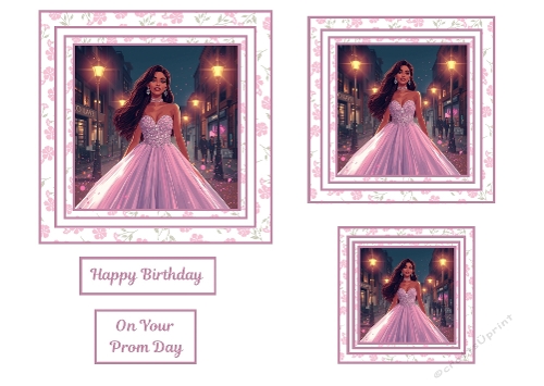 3 X  Girl In Pink Prom Dress Toppers.