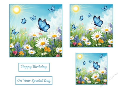 3 X Light Blue Butterflies around Daisys Toppers.
