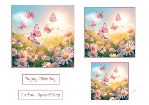 3 X Light Pink Butterflies around Daisys Toppers.