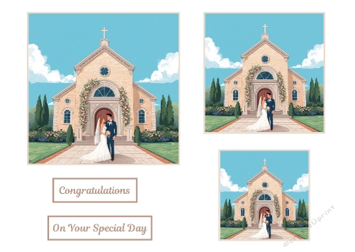 3 X Bride And Groom Toppers.