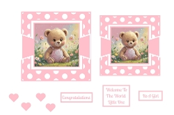 New Baby Girl Bear Toppers.