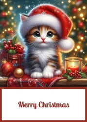 Cute Christmas Kitten 5 x 7 Card Front.