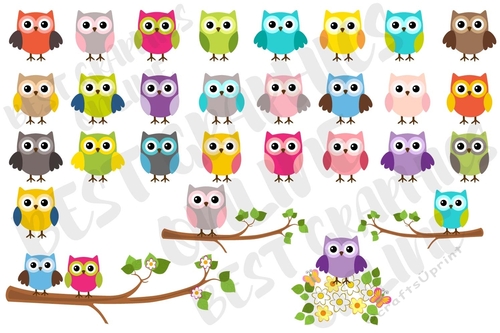 Owl clipart set, Cute little owls clip art, Flowers, Branch