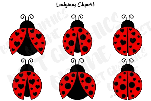 Ladybug clipart set, Ladybugs, Bug clipart, Ladybird bug clipart, Red ladybug illustration