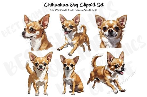 Chihuahua Clipart Set, Cute small Chihuahua Dog clip art 