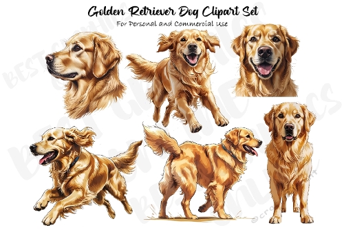  Golden Retriever Dog Clipart Set 