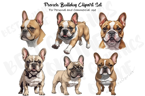 French Bulldog Clipart, Frenchie clipart Image
