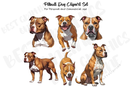 Pittbull Terrier clipart, American Pitt Bull Terrier Illustration