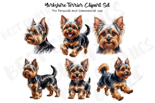Yorkshire terrier dog clipart, Yorkie clipart illustration