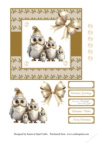 Gold Owl Family