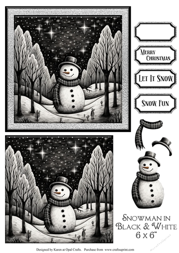 Snowman In Black & White
