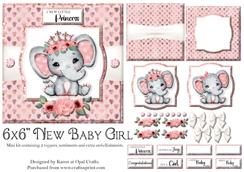New Baby Girl