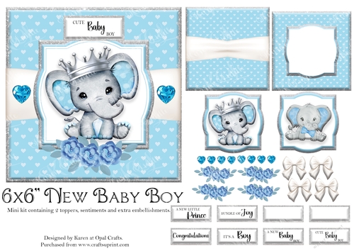 New Baby Boy