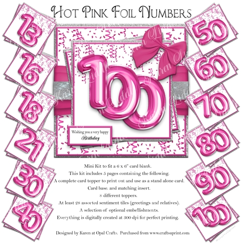 Hot Pink Foil Numbers