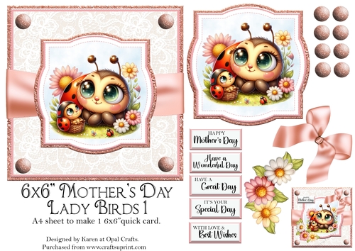 Mothers Day Ladybirds 1