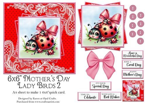 Mothers Day Ladybirds 2
