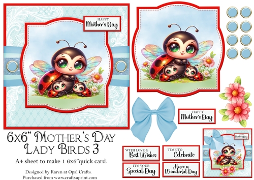 Mothers Day Ladybirds 3
