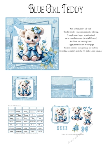 Blue Girly Teddy