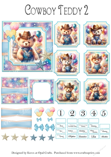 Cowboy Teddy 2