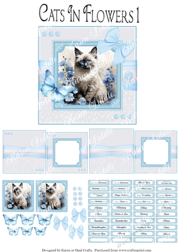 Cats In Flowers 1