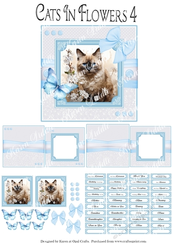 Cats In Flowers 4