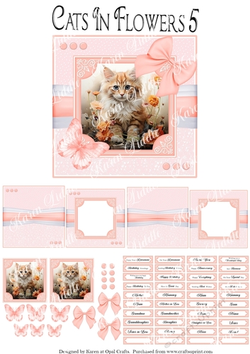 Cats In Flowers 5