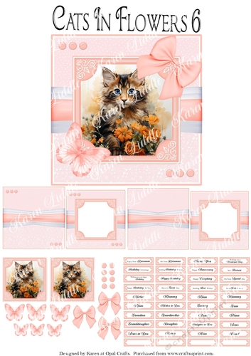 Cats In Flowers 6