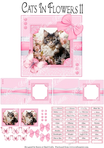 Cats In Flowers 11