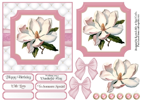 Magnolia Blooms 3