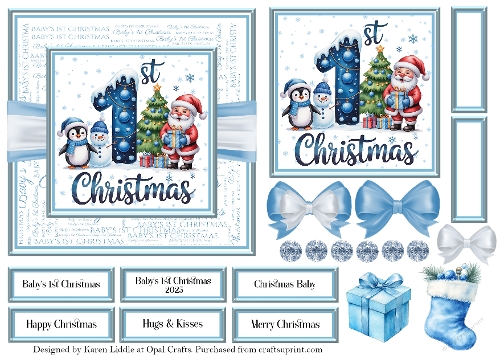 Blue Babys 1st Christmas 5