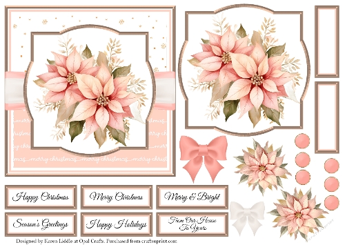 Blush Pink Poinsettia 1