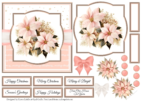 Blush Pink Poinsettia 2