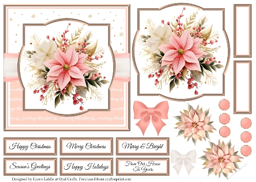 Blush Pink Poinsettia 3