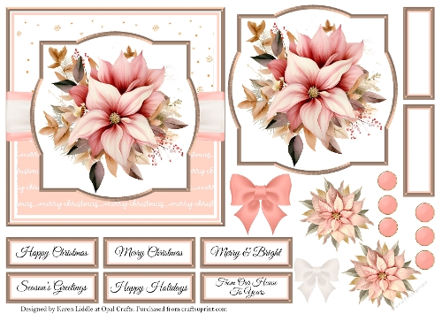 Blush Pink Poinsettia 4